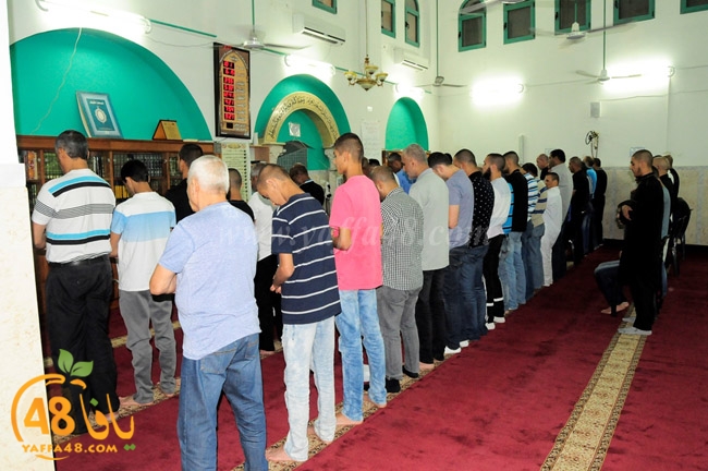 zatona mosque (10).JPG